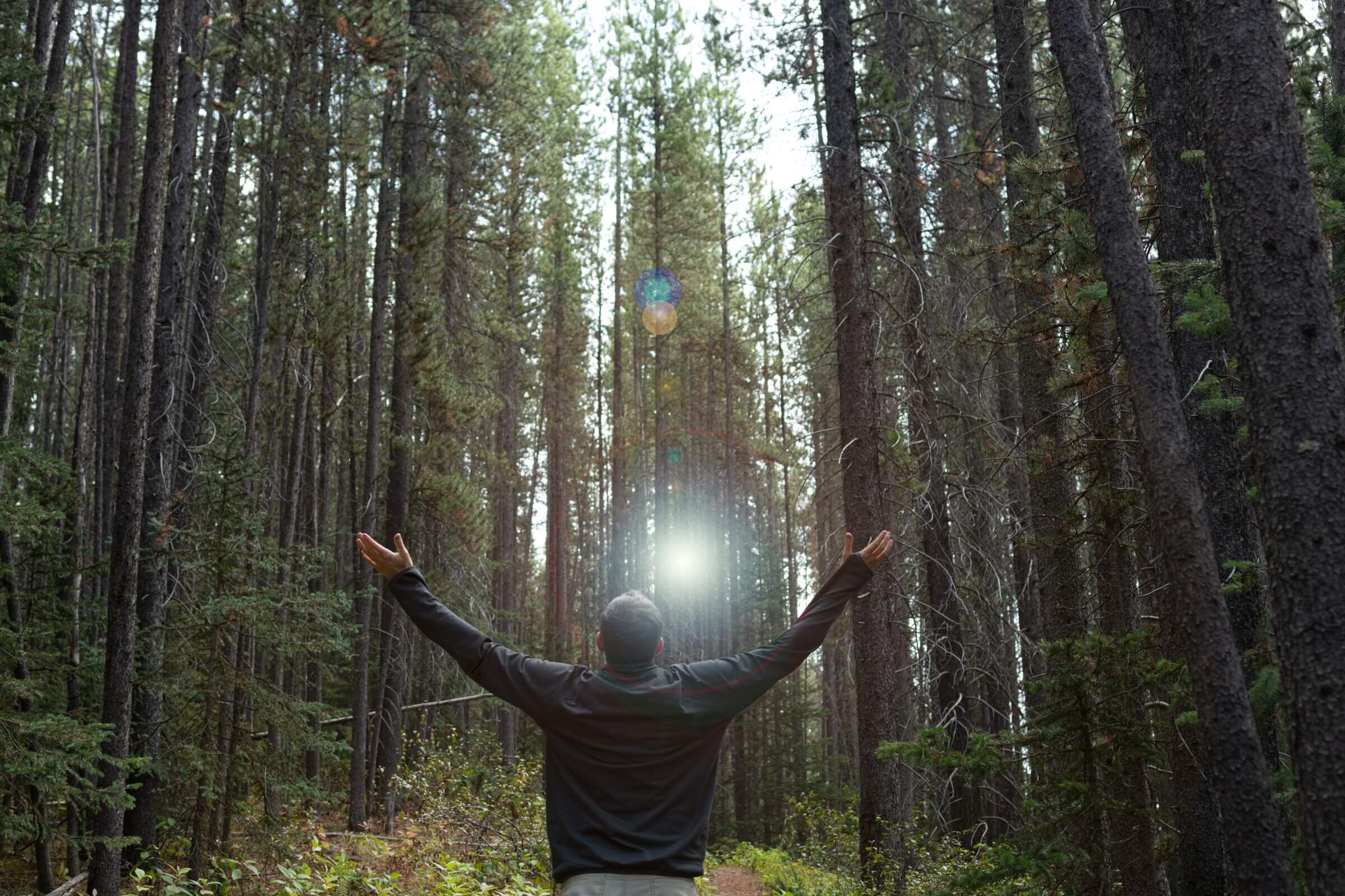 selbstwert und selbstliebe coach